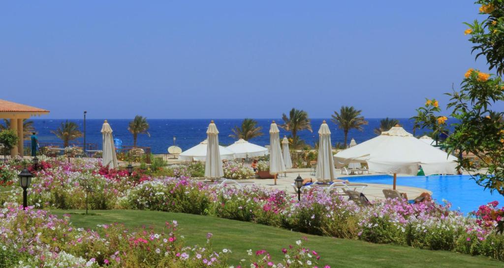 Royal Brayka Beach Resort Abu Dabbab Zewnętrze zdjęcie